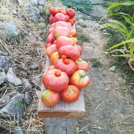 Nocleg ze śniadaniem Salvatierra Ronda